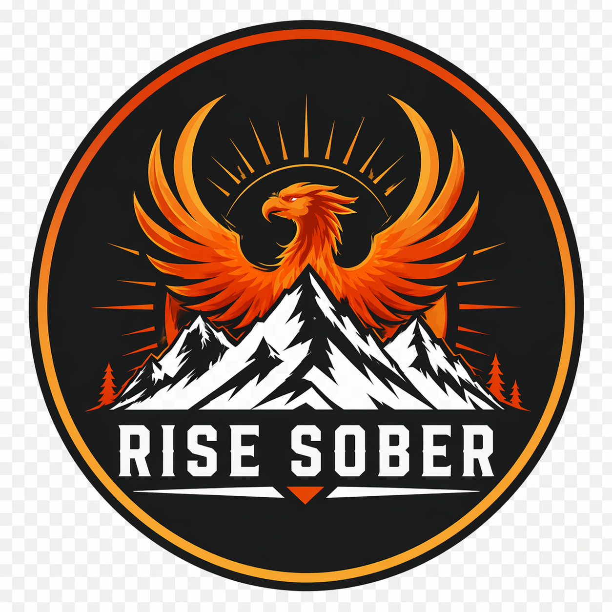 Rise Sober